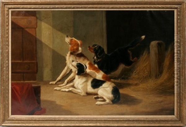 Three Setters In A Barn - view 1