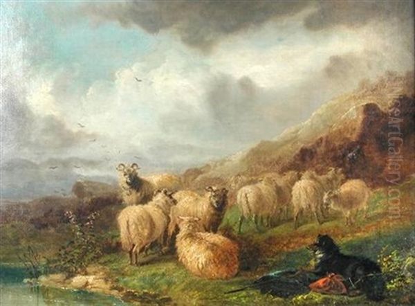 Sheep And A Collie In A Highland Landscape - view 1
