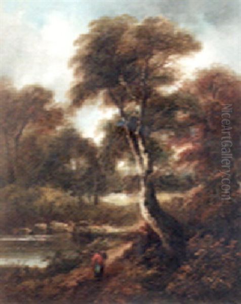 Woodland Scene - view 1
