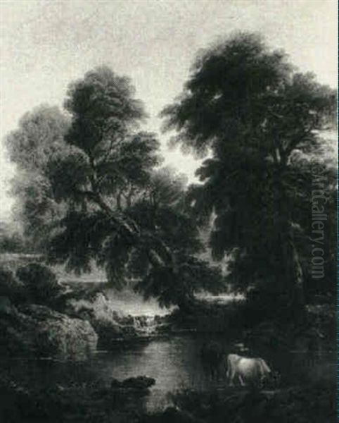 Cows Watering In A Wooded River - view 1