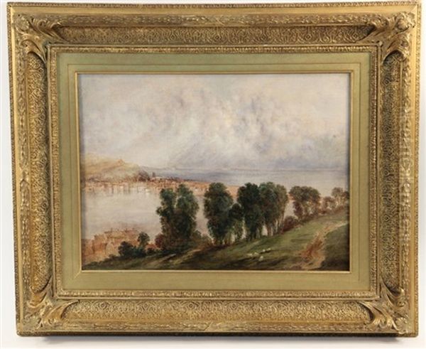 Untitled (landscape) - view 1