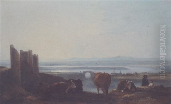 Cattle Resting In An Estuary Landscape - view 1