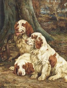 Clumber Spaniels (+ A Portrait Of A Collie By A Boulder, Verso) by Wright Barker