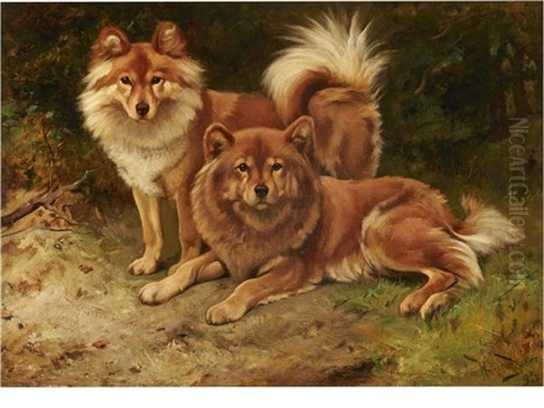 Two Chow Chows - view 1