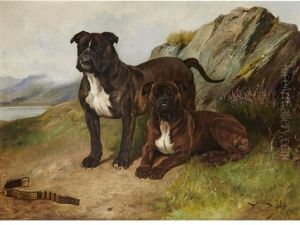 Jack Tar & Another Bulldog