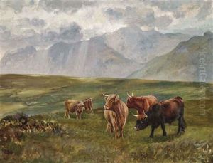 Highland Cattle Grazing by Wright Barker