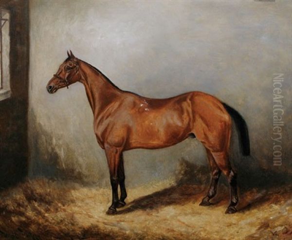 Brown Horse In A Stable - view 1
