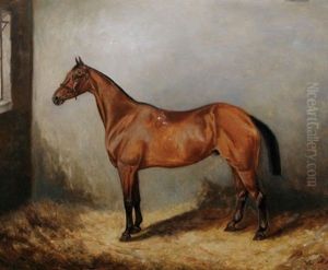 Brown Horse In A Stable Brown Horse In A Stable