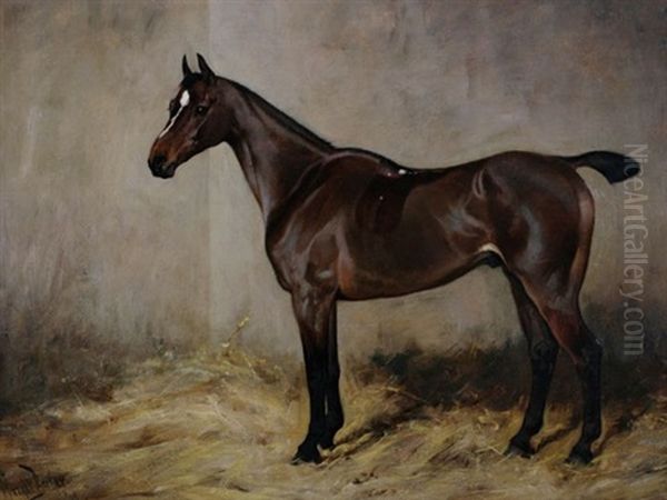 Brown Horse In Stable - view 1