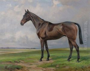 Bay Hunter, Templecombe