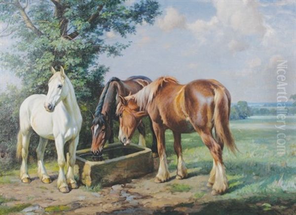 Horses Drinking - view 1