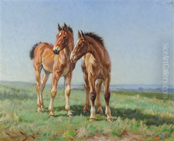 Two Foals Standing In A Summer Landscape - view 1