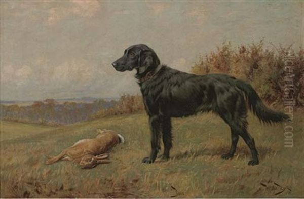"bess" - view 1