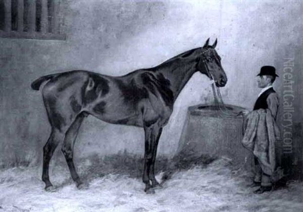 "cunning Boy" In Stable With Joe Goode - view 1
