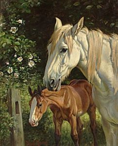 Sto Med Fol by Wright Barker
