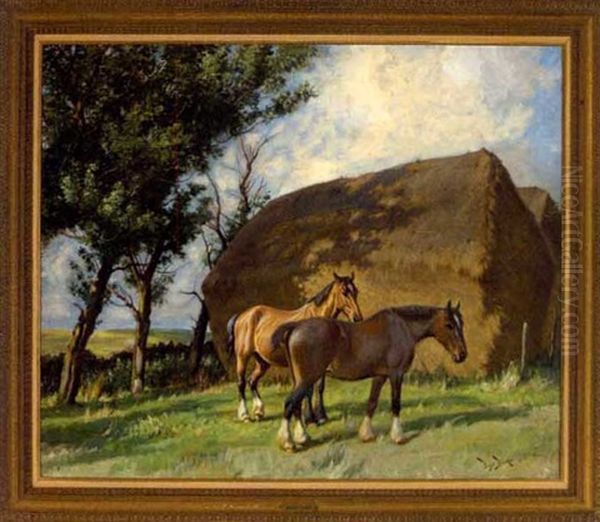 Broodmares - view 1