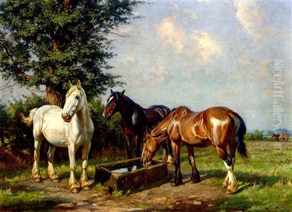 Horses At A Water Trough - view 1