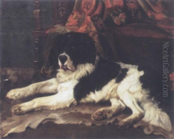 The St. Bernard - view 1