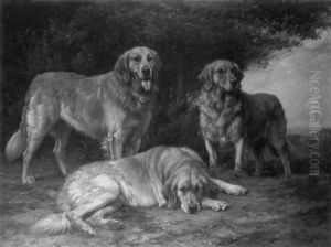 Yellow Russian Retrievers