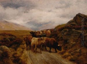 Highland Cattle On A Mountain Track by Wright Barker