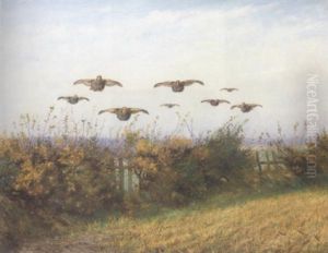 A Covey Of Partridge