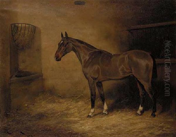"bay Prince", A Chesnut Hunter In A Stable - view 1