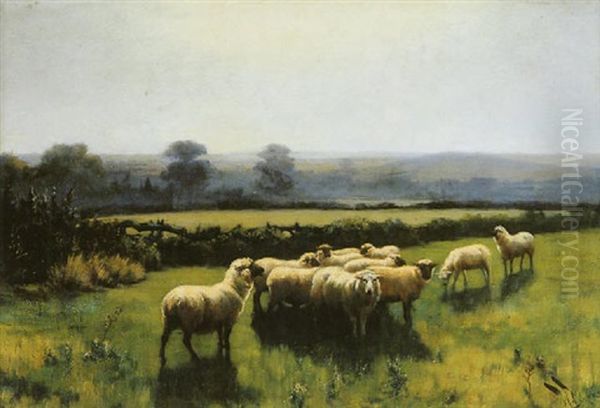 Morning: Sheep Grazing In A Landscape - view 1
