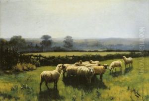 Morning: Sheep Grazing In A Landscape
