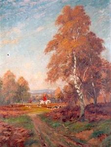 Fox Hunting In Wooded Country