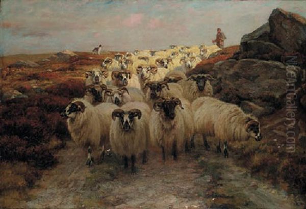 The Shepherd - view 1