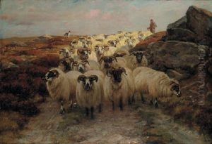The Shepherd The Shepherd