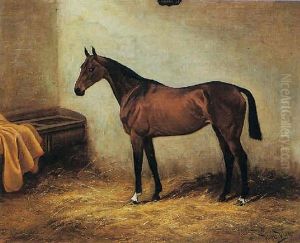 "norah Ii" In A Stable "norah Ii" In A Stable