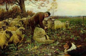 The Shepherd The Shepherd