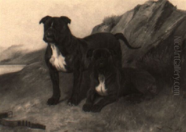 Portrait Of Two Bull Mastiffs In A Landscape - view 1
