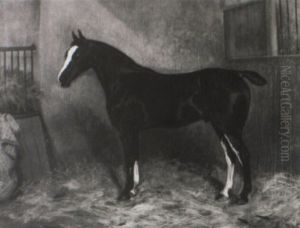 Portrait Of A Hunter In A Stable Portrait Of A Hunter In A Stable