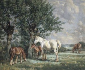 Mares And Foals