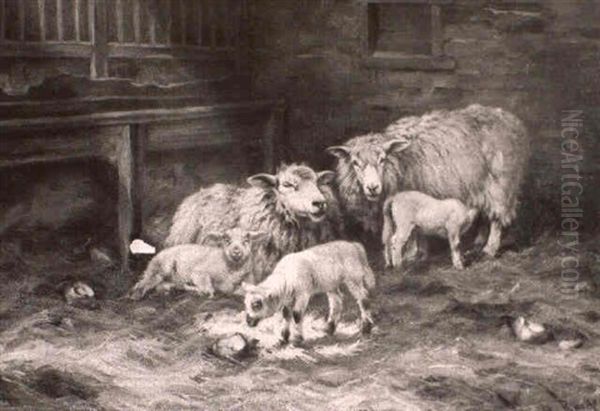 Sheep And Lambs In A Barn - view 1