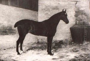 A Dark Bay Horse In A Stable A Dark Bay Horse In A Stable