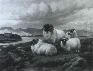 Sheep In A Highland Landscape by Wright Barker