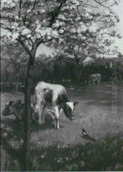 Springtime - view 1