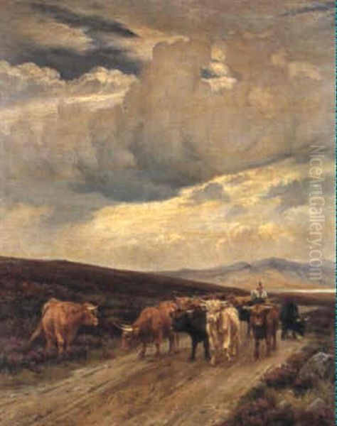 Driving Cattle In The Highlands - view 1