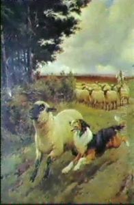 The Shepherd's Help The Shepherd's Help