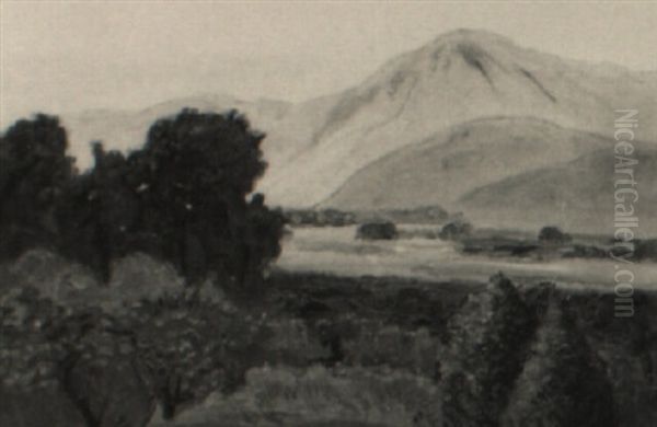 California Landscape - view 1