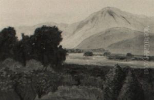 California Landscape