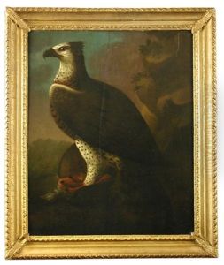 Study Of An African Martial Eagle Holding A Barbary Partridge In Its Talons