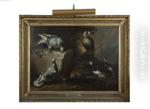 Exotic Birds In A Landscape Exotic Birds In A Landscape