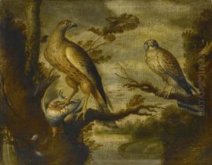 A Buzzard With A Dead English Partridge Watched By A Kestrel A Buzzard With A Dead English Partridge Watched By A Kestrel