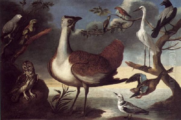 Exotic Fowl On A Bank With A Grey Parrot, Green Woodpecker, Tawney Owl, A Kingfisher, A Great Bustard, A Pair Of Cross Bills, A Kittywake - view 1