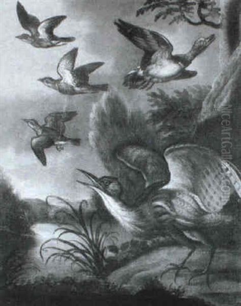 An Assembly Of Birds - view 1