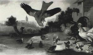 Chicks, Ducks And Other Birds Frightened By A Hawk